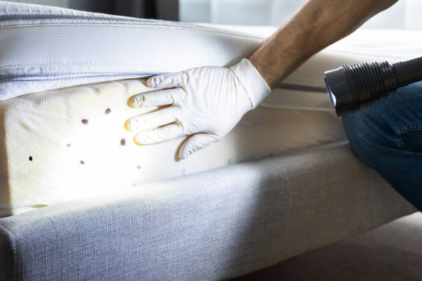 Trusted West Middlesex, PA Pest Control Experts