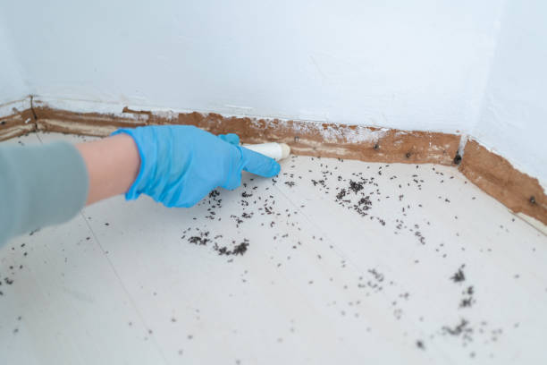 Best Affordable Pest Control Services  in West Middlesex, PA